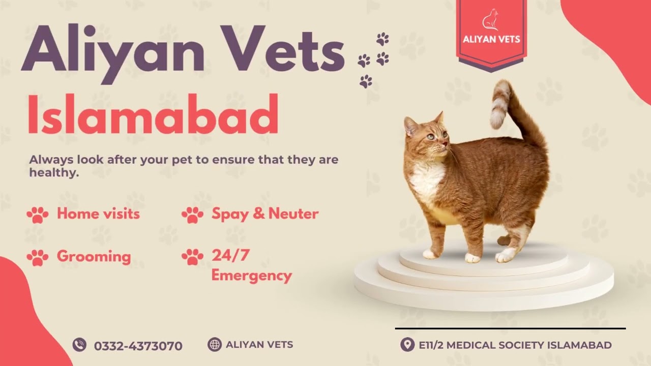 Aliyan Pets Hospital Islamabad 24/7 Emergency logo