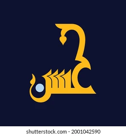 Hasan Designing and Boutique Centre logo