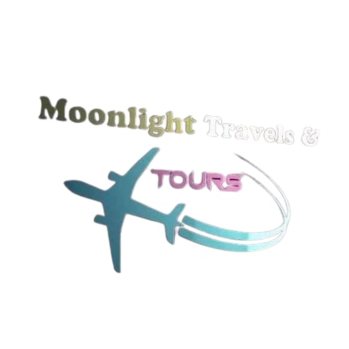 Moon Light Travels & Tours (IATA) logo
