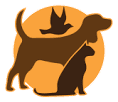 Asim Pets Clinic (Kalma Chowk) logo