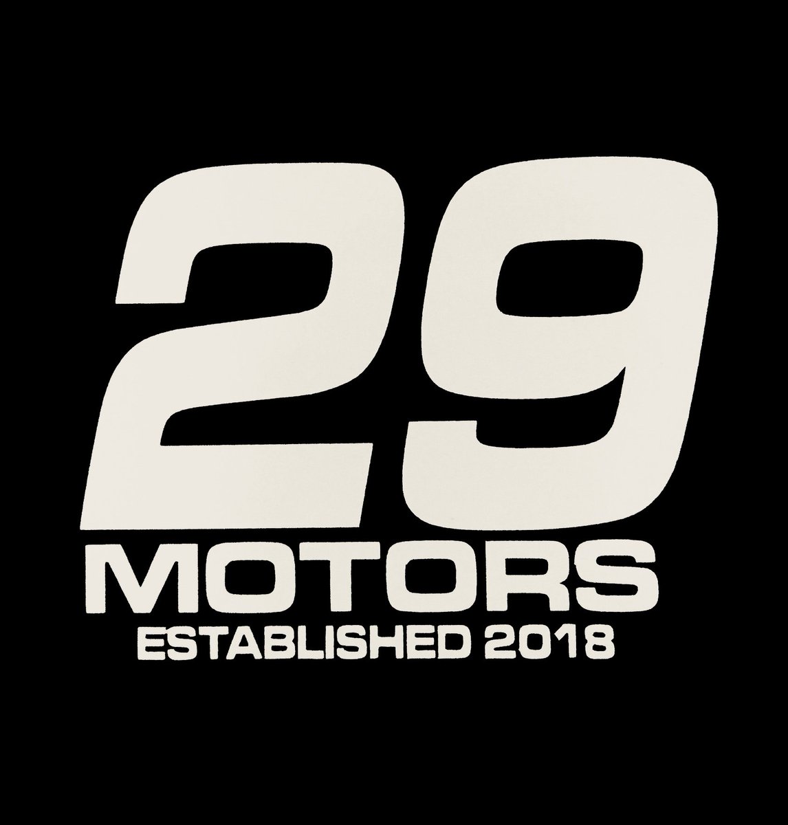 29 Motors - Rent a Car logo