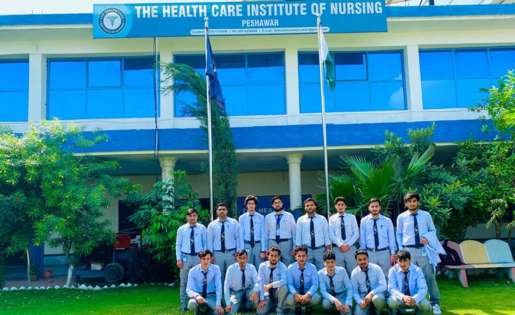 The Health Care Institute Of Nursing Peshawar logo