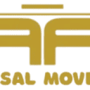 Faisal Movers Naran Terminal logo
