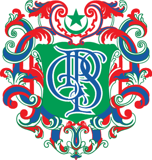 Madinah Teaching Hospital logo