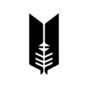 Indus Valley School of Art and Architecture logo