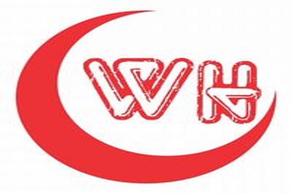 Wajahat Hospital logo