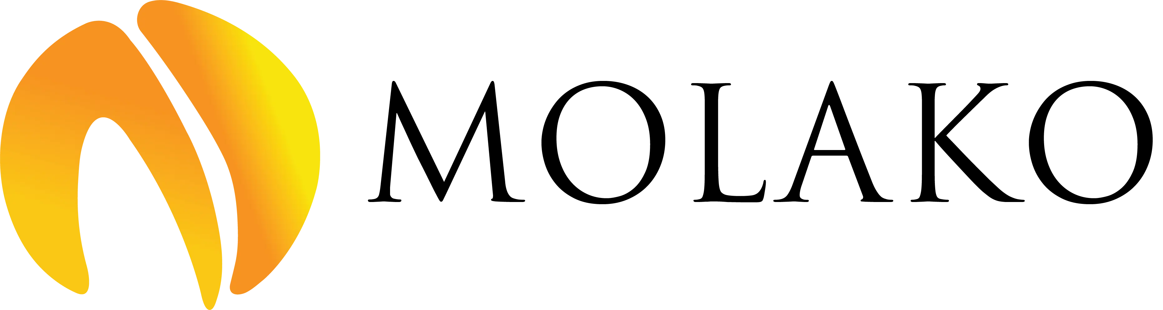 Molako Super Store logo
