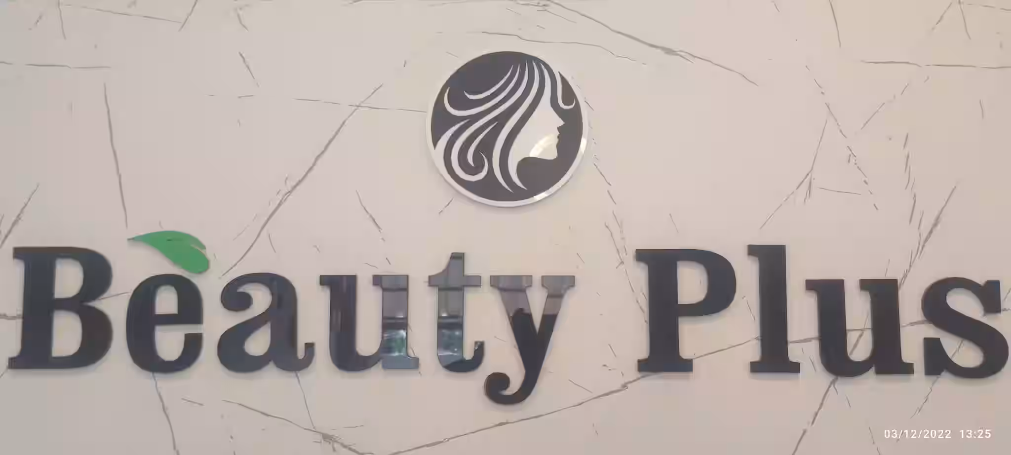 Beauty Plus Salon and Training Centre logo