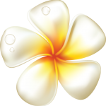 Sunuba Salon and Spa Rejuvenation Center logo