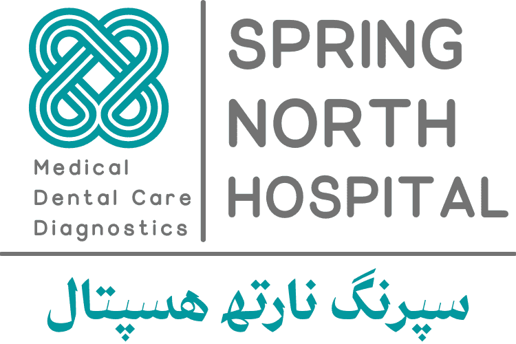 Spring North Hospital logo