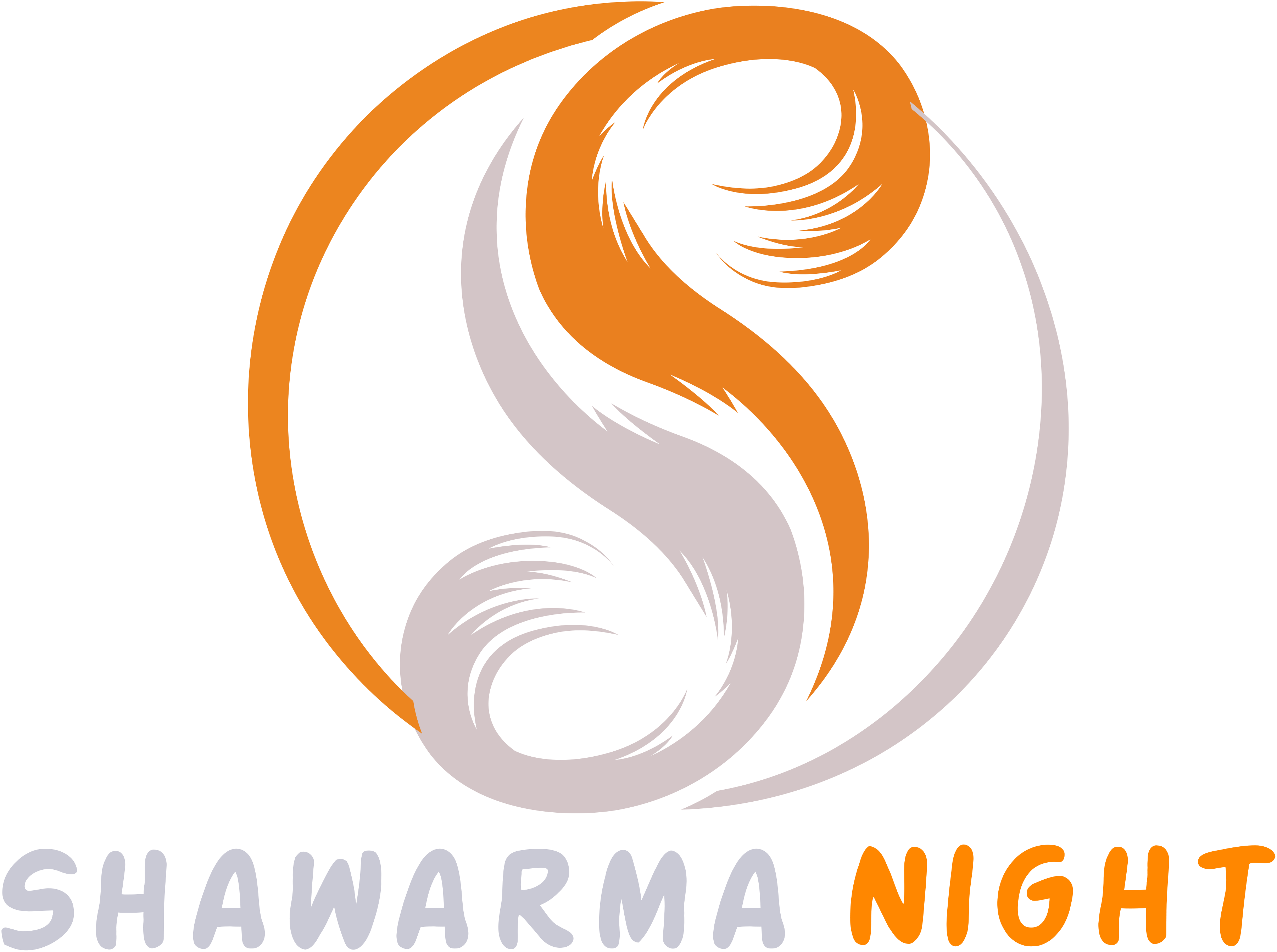 Shawarma Night Model Town Branch logo