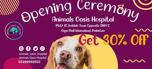 Animals Oasis Hospital Islamabad | 24/7 logo