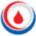National Institute of Blood Disease (NIBD) Welfare Society logo