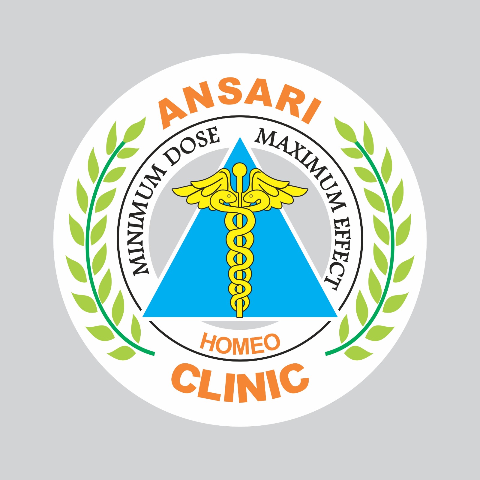 Dr. Haseeb Intizar |Dr Intizar Ali Ansari | Ansari Homeo Clinic | Best Homeopathic in Gujranwala logo