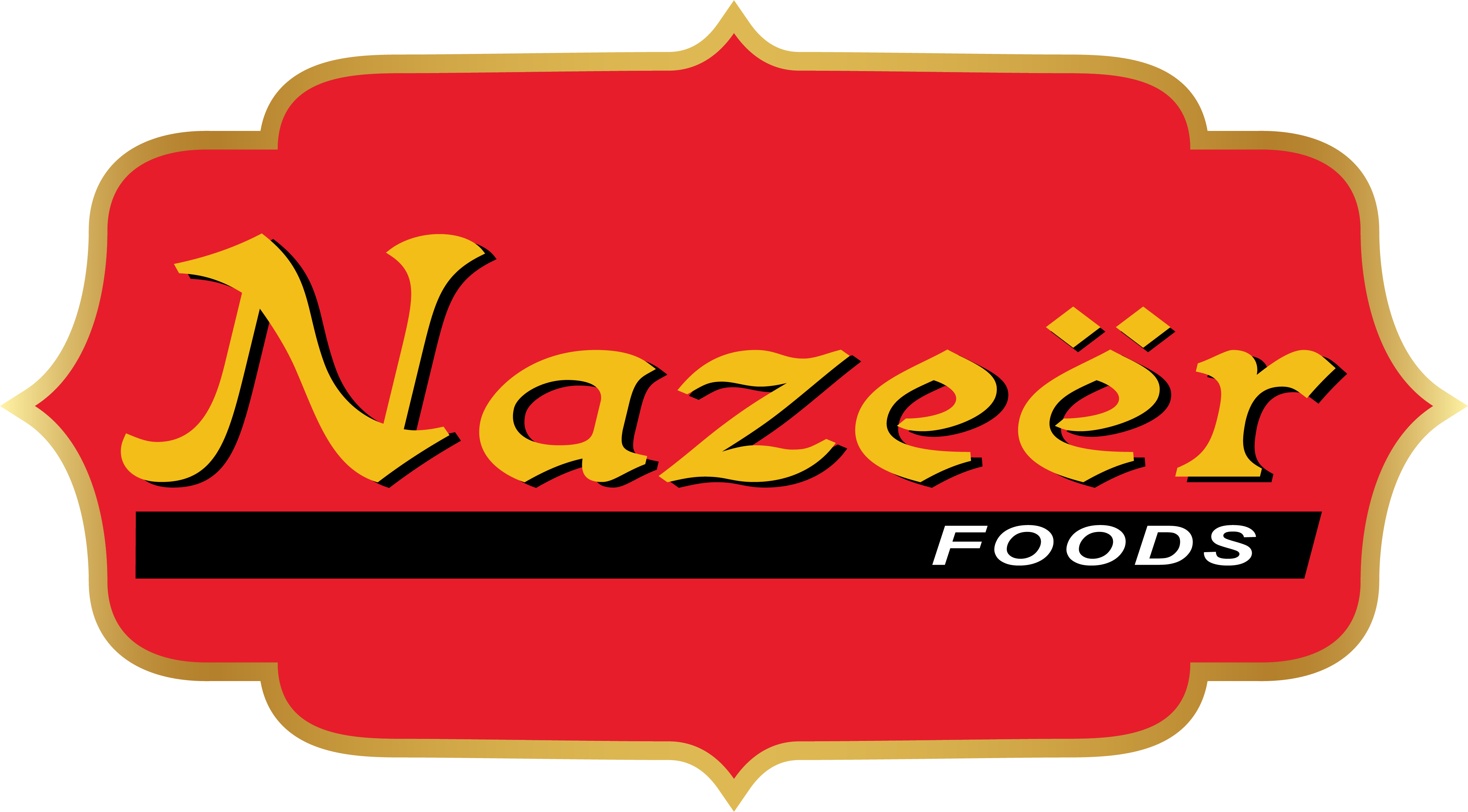 Nazir Foods logo
