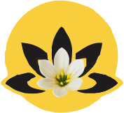 NJ Massage Spa Islamabad logo