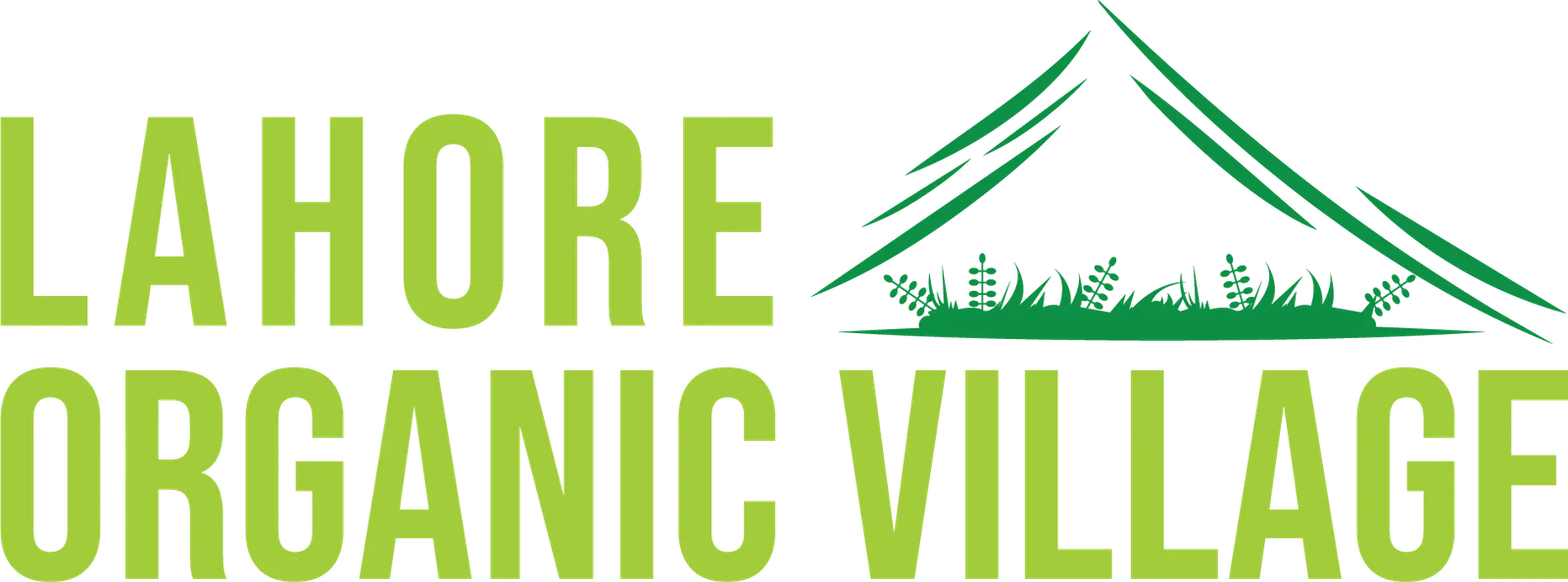 Organic Village Chiltan Pure Store logo