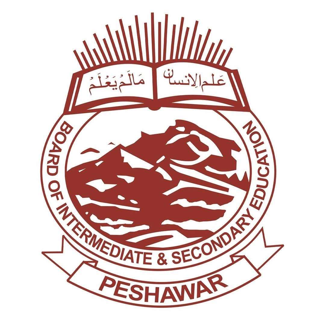 Peshawar Education System logo