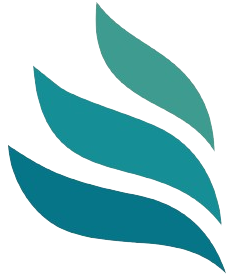 TAYYABA TRAVEL & TOURS logo
