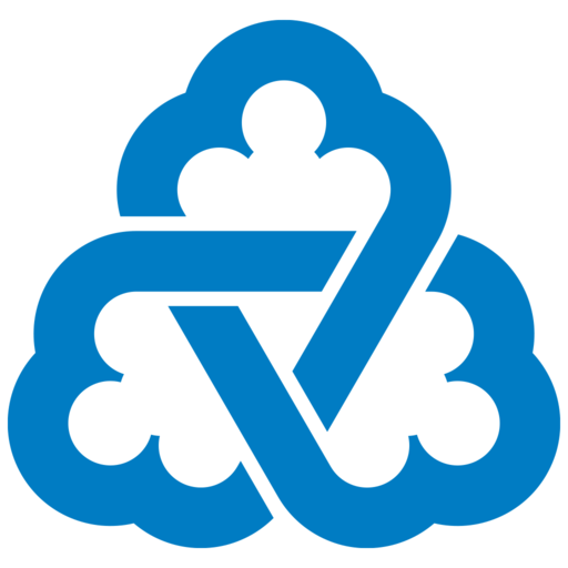 The First Micro Finance Bank logo