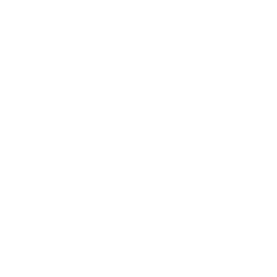 Chop Chop Wok logo
