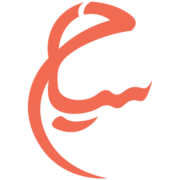 Saiyah Travel & Tours logo