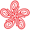 Husaini Blood Bank logo