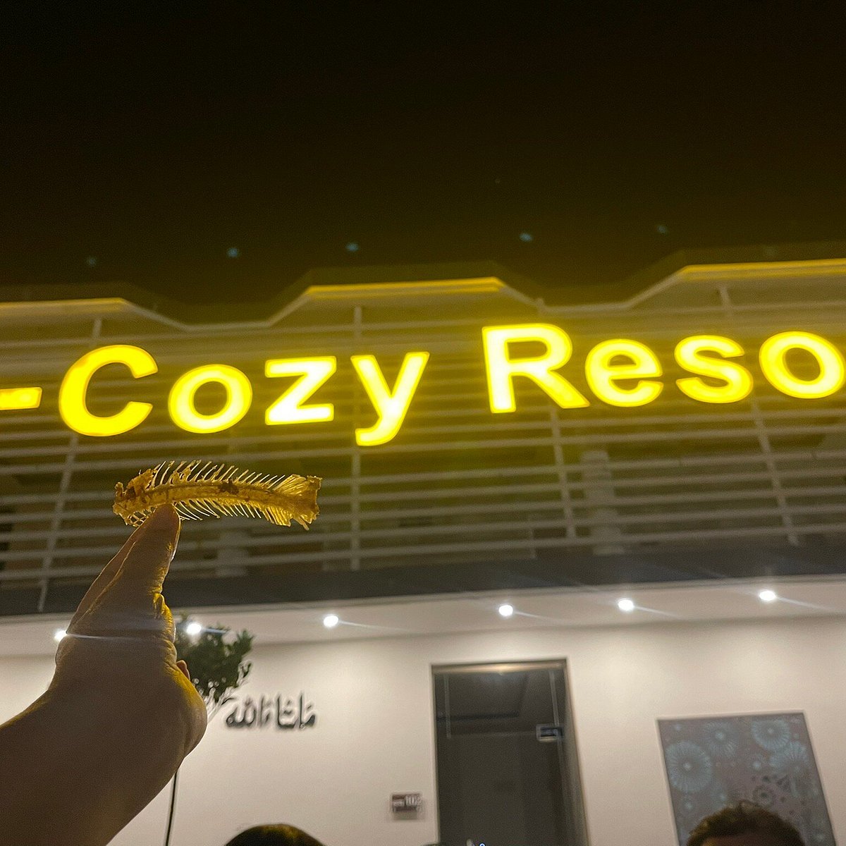 D-Cozy Resort logo