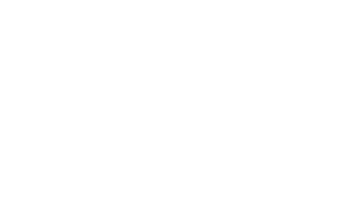 The Carnivore Lahore logo