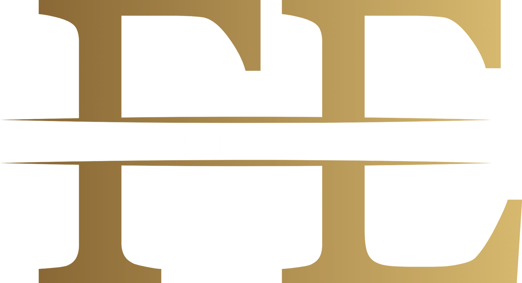 Future Estate & Builders logo