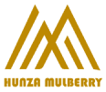 Mulberry Hotel Hunza logo