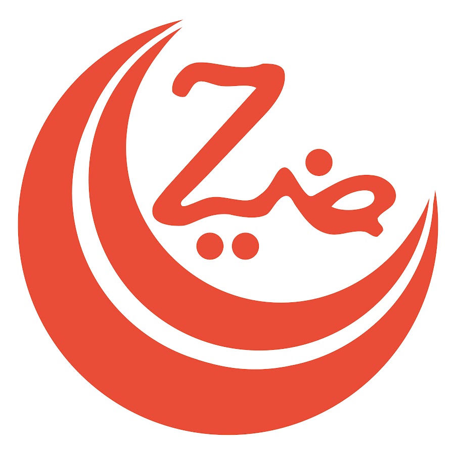 Dr Ziauddin hospital, Sukkur Campus logo