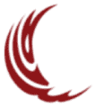 Saleem Memorial Hospital logo