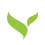 Sina Institute of Networks and Aesthetics logo