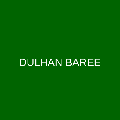 DULHAN BAREE logo
