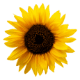 SendFlowers logo