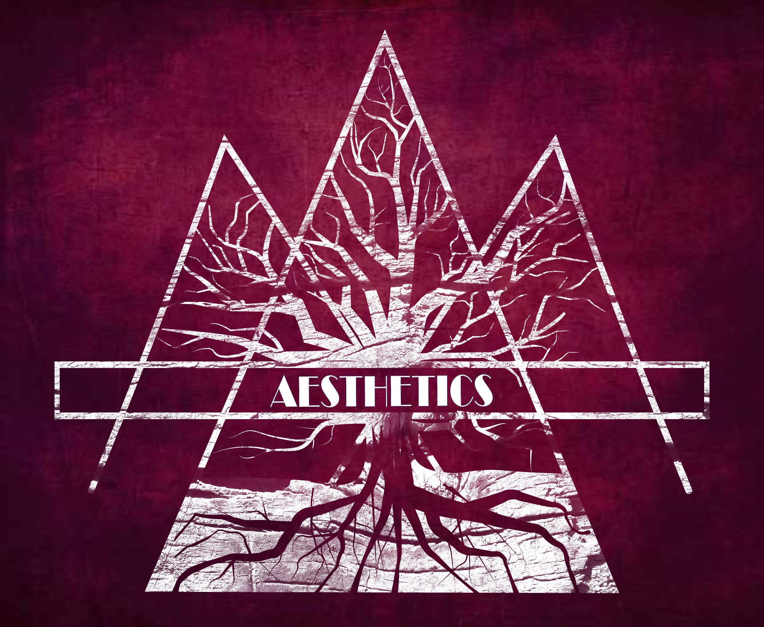 Banyan Aesthetics logo